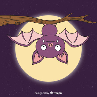 Fledermaus Fleddy